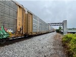 TTGX 709296